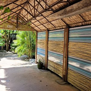 "Le Temple de l'Ocelot" area -Zoo d'Asson (2022)