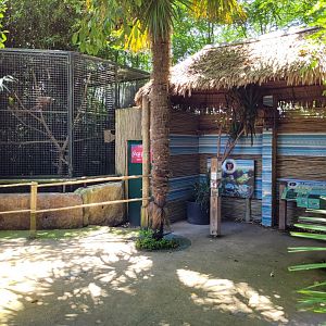 "Le Temple de l'Ocelot" area -Zoo d'Asson (2022)