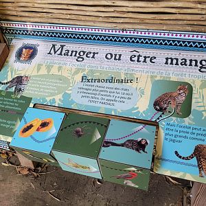 Educative display -Zoo d'Asson (2022)