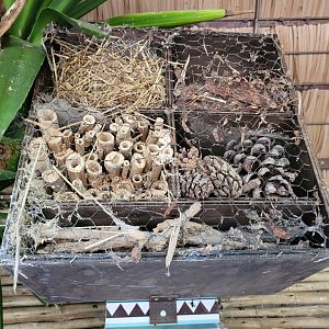 Insect hotel -Zoo d'Asson (2022)