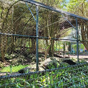 Snow leopard exhibit -Zoo d'Asson (2022)