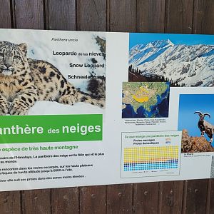 Snow leopard sign -Zoo d'Asson (2022)