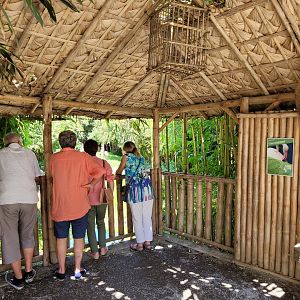 Greater flamingo viewing deck -Zoo d'Asson (2022)