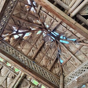 Greater flamingo viewing deck -Zoo d'Asson (2022)