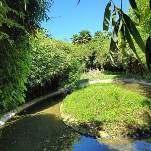 Greater flamingo exhibit -Zoo d'Asson (2022)
