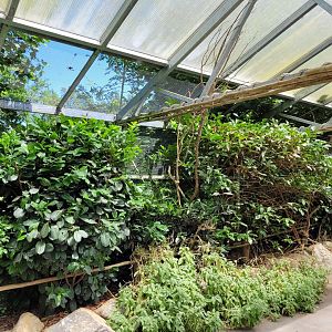 Swinhoe's striped squirrel, Diamond dove, Zebra finch, Rainbow lorikeet, Asian blue quail and Satyr tragopan exhibit -Zoo d'Asson (2022)