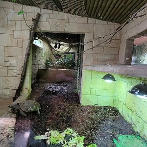 Southern Brown tortoise exhibit -Zoo d'Asson (2022)