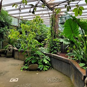 "Le Temple Perdu" view -Zoo d'Asson (2022)