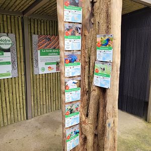 "Le Temple Perdu" free-roaming species -Zoo d'Asson (2022)