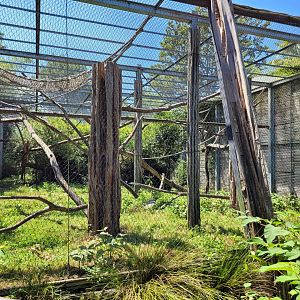 Pileated gibbon exhibit -Zoo d'Asson (2022)