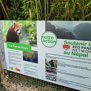Himalayan red panda sign -Zoo d'Asson (2022)