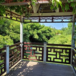 Canopy at the "Praire asiatique" -Zoo d'Asson (2022)