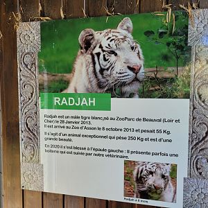 Tiger sign -Zoo d'Asson (2022)