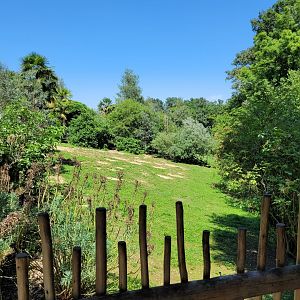 Red kangaroo exhibit -Zoo d'Asson (2022)