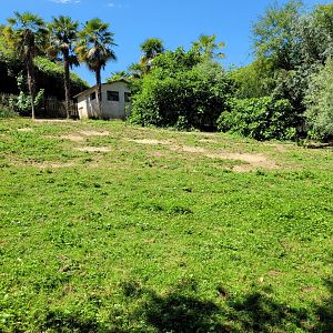 Red kangaroo exhibit -Zoo d'Asson (2022)