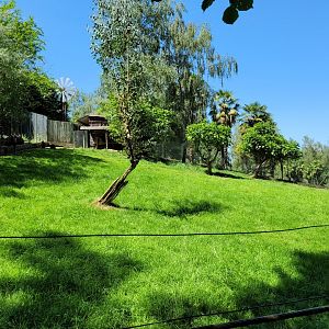 Swamp wallaby and Common emu exhibit -Zoo d'Asson (2022)