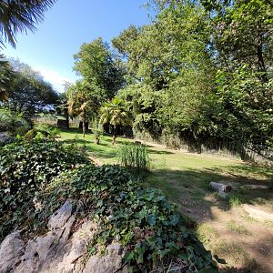 Maned wolf exhibit -Zoo d'Asson (2022)