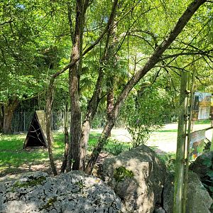 Maned wolf exhibit -Zoo d'Asson (2022)