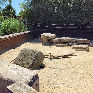 Black-tailed prairie dog exhibit -Zoo d'Asson (2022)