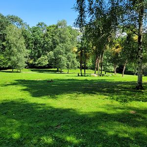"Parcours kangorous" walkthrough exhibit -Zoo d'Asson (2022)