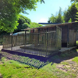 Alpaca shelter -Zoo d'Asson (2022)