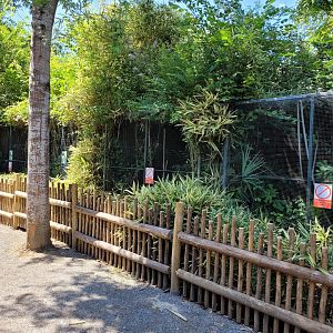 Marmoset and tamarin exhibits -Zoo d'Asson (2022)