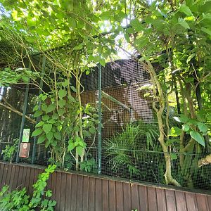 Verreaux eagle-owl exhibit -Zoo d'Asson (2022)