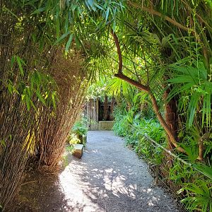 Lemur exhibit row -Zoo d'Asson (2022)