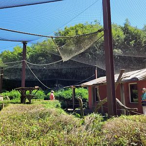 Crowned lemur and Ring-tailed lemur exhibit -Zoo d'Asson (2022)