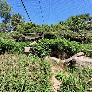 Crowned lemur and Ring-tailed lemur exhibit -Zoo d'Asson (2022)