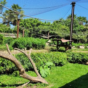 Crowned lemur and Ring-tailed lemur exhibit -Zoo d'Asson (2022)