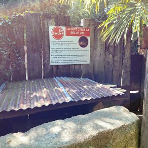 Indian crested porcupine day pen -Zoo d'Asson (2022)