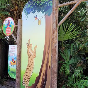 Serval educative display -Zoo d'Asson (2022)