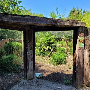 Serval exhibit -Zoo d'Asson (2022)