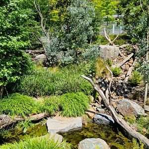Tasmanian Devil exhibit