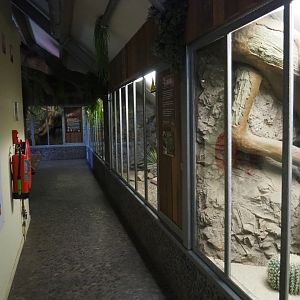 View on the critter attic, 2022-05-17