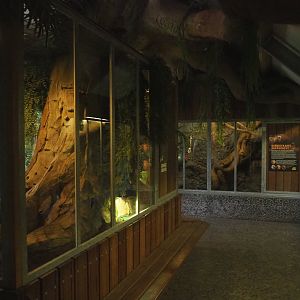 View on the critter attic, 2022-05-17