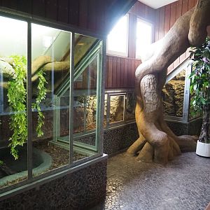 Green anaconda terrarium, 2022-05-17