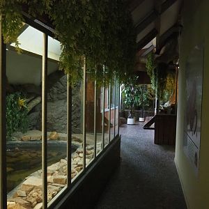 View on the critter attic, 2022-05-17