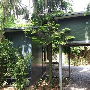 Kirk's dik-dik/African spurred tortoise/Demoiselle crane/Eclectus parrot and Prevost's squirel/Golden pheasant houses,  2022-05-17