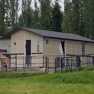 New Giraffe Barn