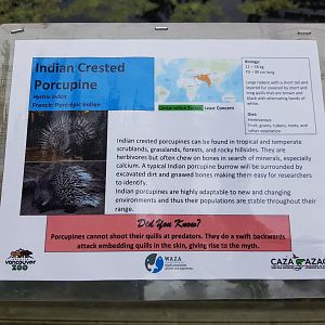 Indian Crested Porcupine Sign