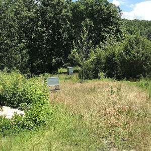 Watani Grasslands Antelope Feeders