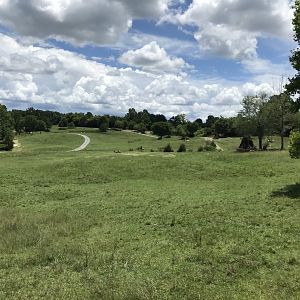 Watani Grasslands seen from Zoofari