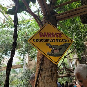 Crocodile Warning Sign