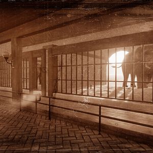 Historic Elephant House 2