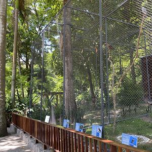 Birds of Prey Aviary (Buteo Hawks, and Owls)