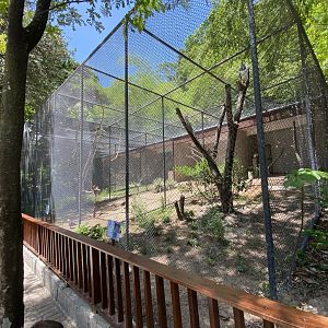 Birds of Prey Aviary (Black-chested Buzzard-Eagle, Crested Caracara)