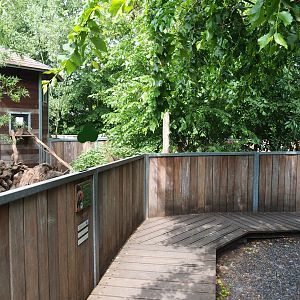 Banded mongoose exhibit and viewing area, 2022-05-17