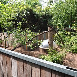 Meerkat exhibit, 2022-05-17